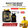 Mass Gainer 3kg Sure Gain + FREE Sandow | Weight Gain & Muscle Mass Supplement – Kings Health Fuel
